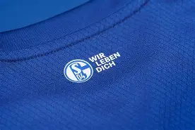 沙尔克04主场失利，积分榜垫底，急需全队齐心协力扭转局势的简单介绍