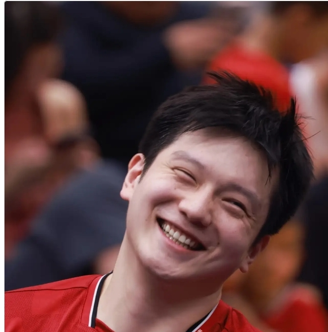 日本队力克瑞典队，樊振东高光表现的简单介绍